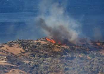 Waldbrände in Südeuropa: Auch Deutschland schlägt Alarm