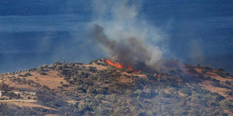 Waldbrände in Südeuropa: Auch Deutschland schlägt Alarm
