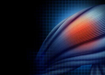 Protein TRF2 hält Muskelstammzellen reparaturfähig