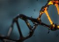 Neues Mutationsmuster bei Darmkrebs entdeckt