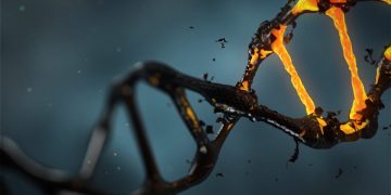 Neues Mutationsmuster bei Darmkrebs entdeckt