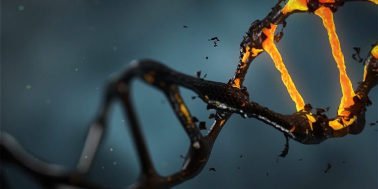 Neues Mutationsmuster bei Darmkrebs entdeckt